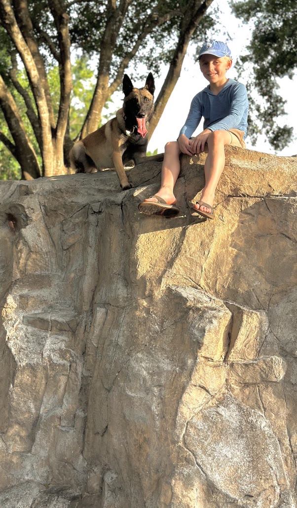 American Malinois Belgian Malinois family protection dog sitting with a boy on a rock